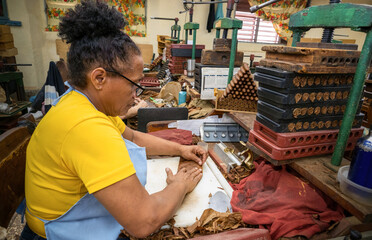 Skilled female artisan rolling premium habano cigar with dried tobacco leaves, wooden tools surrounding traditional cuban factory workspace