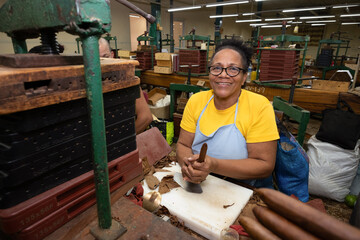 Skilled cigar maker sorting tobacco leaves by hand, using vintage tools within vibrant cuban...