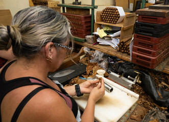 Skilled artisan meticulously crafting a premium habano cigar using dried tobacco leaves in a...
