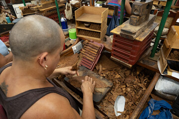 Skilled cigar maker meticulously prepares tobacco leaves, employing traditional techniques in a...