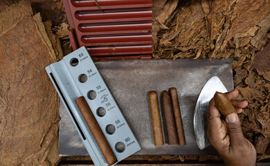 Skilled cigar maker carefully examining handcrafted habano, surrounded by traditional tobacco...