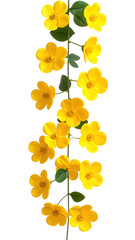 A vertical arrangement of vibrant yellow flowers with delicate green leaves isolated on a transparent background.