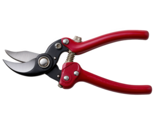 Pruning shears gardening tool metal blade red handle spring mechanism sharp hand tool isolated horticulture maintenance used for trimming plants and branches