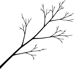Obraz premium vector silhouette of a bare winter tree branch.eps
