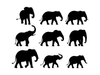 elephant silhouette illustration collection