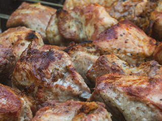 Grilled Pork Skewers Closeup.
