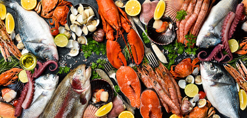 Seafood. Wide banner. Fresh fish, shrimp, oysters, lobster and octopus on slate black table. Top view.