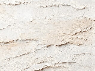 Obraz premium macro image of plaster wall with raw brush texture, off-white minimal tones