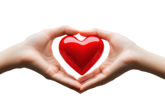 Couple holds a bright red heart between their hands expressing love and connection in a romantic setting