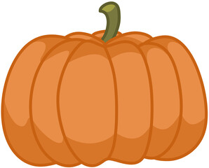 pumpkin illustration
