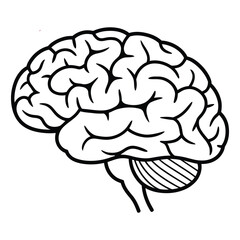Simple line art illustration of the human brain for medical and health concepts.

