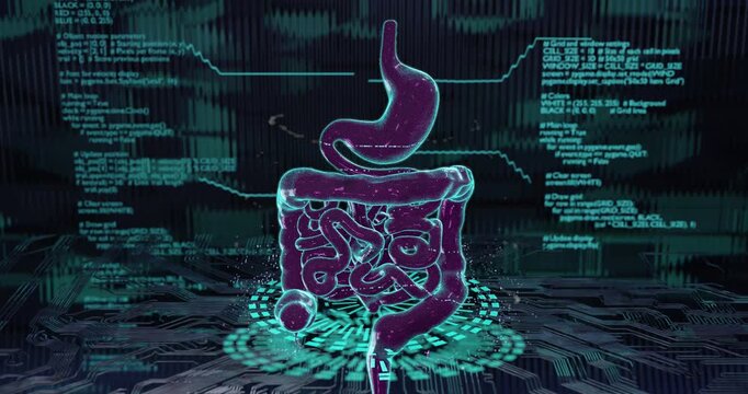 3D animation, futuristic digital internal organs of the digestive system with neon lighting and sci-fi digital grid. The concept of research, scanning, research