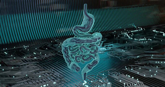 3D animation rotating abstract low-poly frame of digestive system organs with neon illumination with digital scanning effect. Futuristic visualization of innovation and science