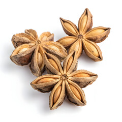 Single dried sacha inchi seed isolated on white background, showing its dark shell, unique shape,