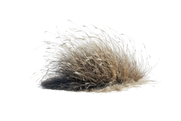 Tumbleweed rolls across expansive desert landscape capturing the essence of arid terrain in clear sunlight