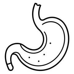 Fototapeta premium Human Digestive System Anatomy Showing Stomach, Esophagus, Human Digestive System icon line airt vactor outline Illustrations on white background. 