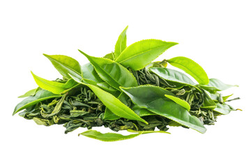 Fototapeta premium Pile of fresh green tea leaves displayed on a clean white surface showcasing their vibrant color and texture, capturing the essence of a natural herbal choice