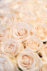 Bouquet of pastel roses