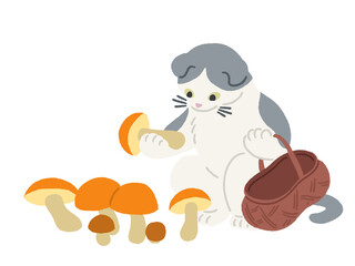 キノコ狩りをする猫