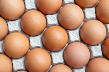 Fresh organic brown chicken eggs in cardboard tray