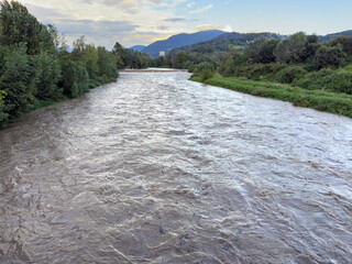 The Serio river swollen after heavy rains. Province of Bergamo, northern Italy. Brown water. The...