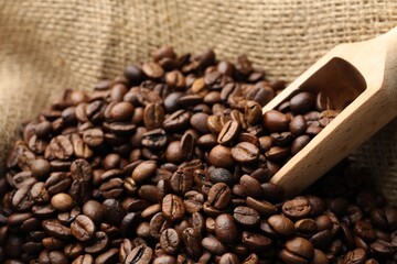 Fototapeta premium Aromatic coffee beans and scoop in burlap bag, closeup