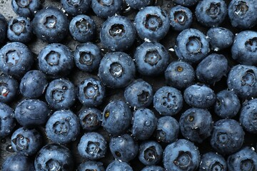 Close-up of delicious blueberries with water drops