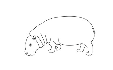 Hippopotamus line art for design. Vector illustration.