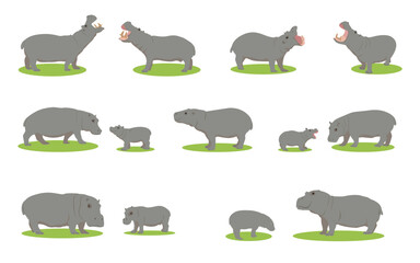 Obraz premium Hippopotamus family set in different poses. For design. Vector illustration. Hippopotamus. Cartoon wildlife vector illustration collection. White background. Wildlife concept. Zoo.