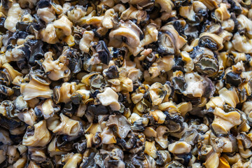 Cooked golden apple snail meat, freshly prepared and ready to eat, a traditional Asian delicacy and unique local ingredient in authentic cuisine.