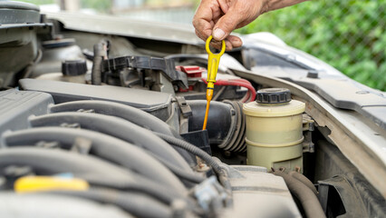 The driver checks the oil level in the car