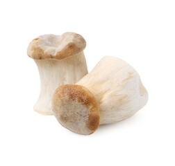 Fresh raw eryngii mushrooms isolated on white