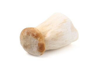 One raw eryngii mushroom isolated on white