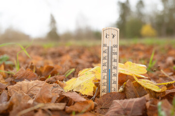 Thermometer, autumn foliage, fall season, measure the temperature, weather forecast, cold rainy day
