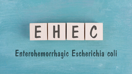 EHEC, enterohemorrhagic Escherichia coli, shigatoxigenic and verotoxigenic, bloody diarrhea,...