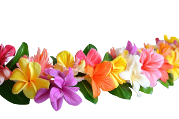 Vibrant tropical flower lei captures the essence of celebration with its colorful blooms and lush greenery, ideal for festive occasions