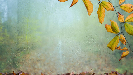 Close-up of autumn leaves against a foggy window with raindrops, creating a seasonal and moody...