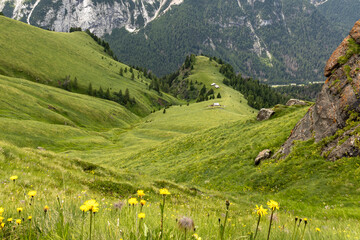 Alpine Mountain Landscape