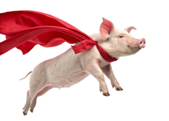 A pig wearing a red cape flying through the air with a light blue and white gradient background sky view