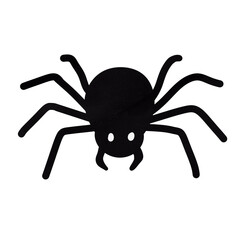black spider isolated on white