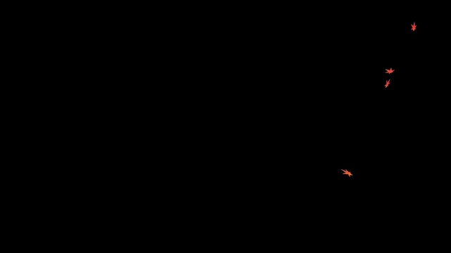 Loop animation of autumn Japanese maple leaves dancing in the wind