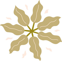 flat cartoon top view of tree illustration.