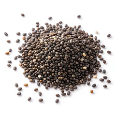 Single dried chia seed isolated on white background, highlighting its tiny size, speckled texture,