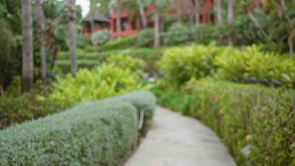Obraz premium Blurred tropical resort pathway with lush greenery and distant luxury hotel, showcasing a defocused, bokeh background.