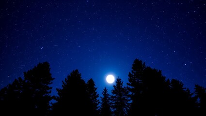 Tourisms a night scene featuring a bright full moon shining above silhouetted trees under a starry dark blue sky