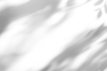 shadow overlay effect of natural tree leaves shadow over on white wall background,realistic summer sunlight abstract shadow overlay on transparent png background