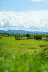 Scenic view of the Plain of Jars archaeological site in Xieng Khouang, Laos. The landscape features ancient megalithic stone jars scattered across a lush green meadow, with rolling hills, distant moun