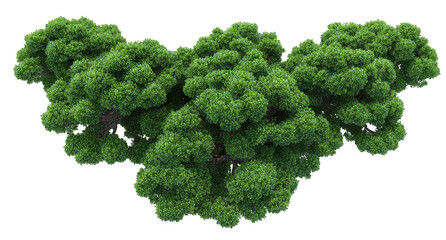 Lush Green Treetop Cluster Isolated on Transparent Background