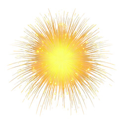 Obraz premium Golden Fireworks Burst on Black Background