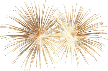 Obraz premium Golden Fireworks Display Against Black Background